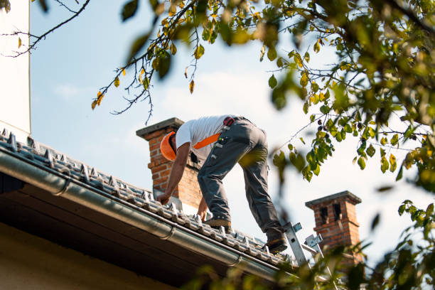 Roof Installation Near Me in Forest Lake, MN