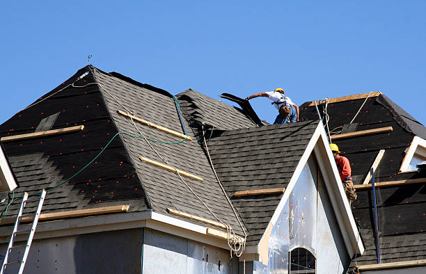 Best Storm Damage Roof Repair  in Forest Lake, MN