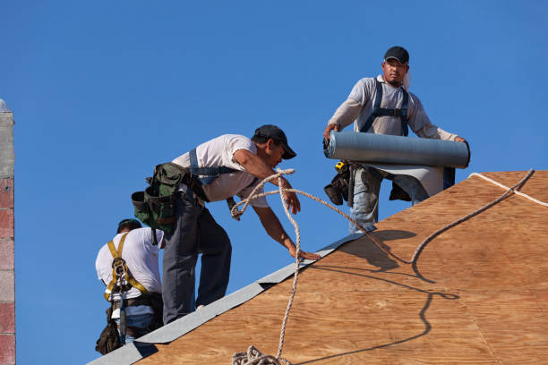 Best Roof Leak Repair  in Forest Lake, MN