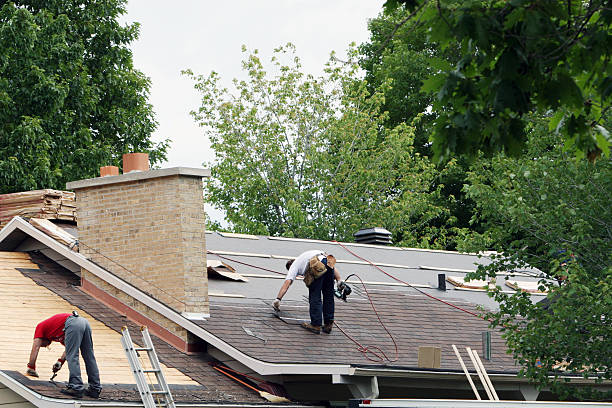 Professional Roofing Contractor in Forest Lake, MN