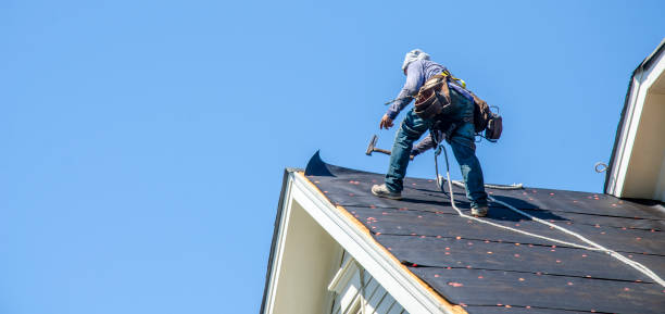 Best Emergency Roof Repair  in Forest Lake, MN