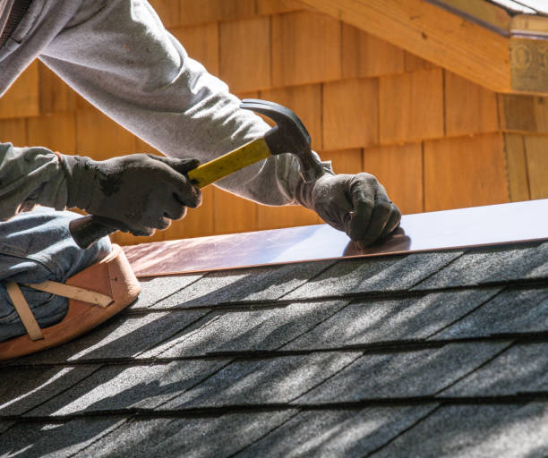 Best Roofing Contractors for Homes  in Forest Lake, MN